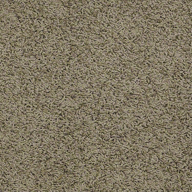 Great Approach (S) Residential Carpet