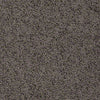 Great Approach (S) Residential Carpet