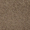 Great Approach (S) Residential Carpet