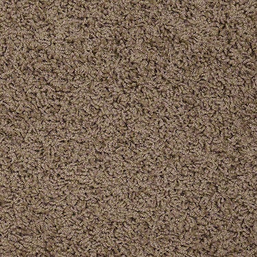 Great Approach (S) Residential Carpet