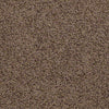 Great Approach (S) Residential Carpet