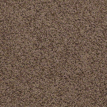 Great Approach (S) Residential Carpet