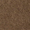 Great Approach (S) Residential Carpet