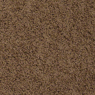 Great Approach (S) Residential Carpet