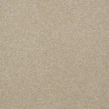 Harborfields I 12' Residential Carpet