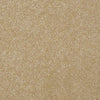Harborfields I 12' Residential Carpet