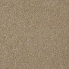 Harborfields I 12' Residential Carpet