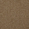 Harborfields I 12' Residential Carpet