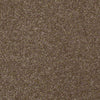 Harborfields I 12' Residential Carpet