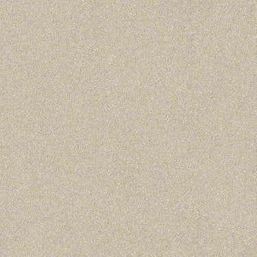 Harborfields II 12' Residential Carpet
