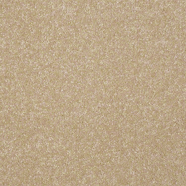 Harborfields II 12' Residential Carpet