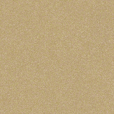 Harborfields II 12' Residential Carpet