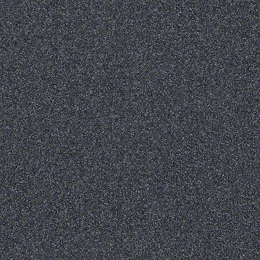 Harborfields II 12' Residential Carpet