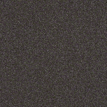 Harborfields II 12' Residential Carpet
