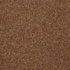 Harborfields II 12' Residential Carpet
