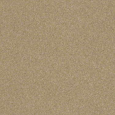 Harborfields II 12' Residential Carpet