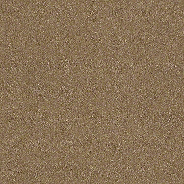 Harborfields II 12' Residential Carpet