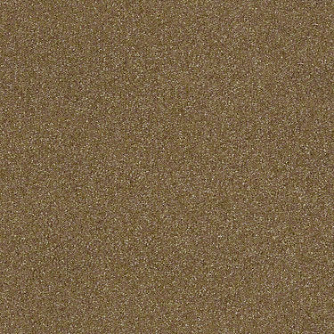 Harborfields II 12' Residential Carpet