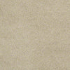 Consume II Residential Carpet