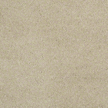 Consume II Residential Carpet