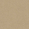 Consume II Residential Carpet