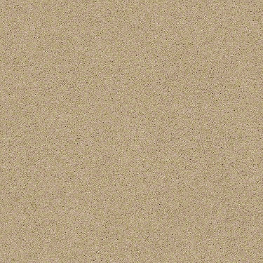 Consume II Residential Carpet