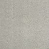 Consume II Residential Carpet
