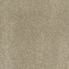 Consume II Residential Carpet