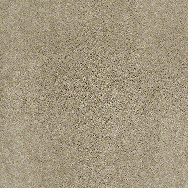 Consume II Residential Carpet
