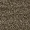 Causeway III Residential Carpet