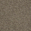 Causeway III Residential Carpet