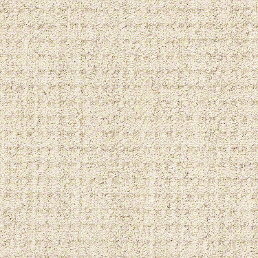 Copilot Residential Carpet