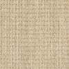 Copilot Residential Carpet