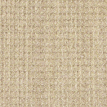 Copilot Residential Carpet