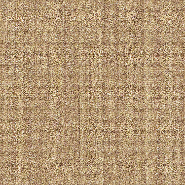 Copilot Residential Carpet