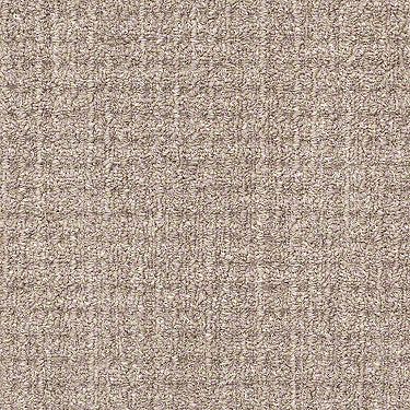 Copilot Residential Carpet