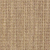Copilot Residential Carpet
