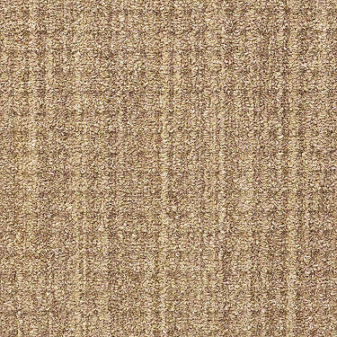 Copilot Residential Carpet