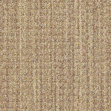 Copilot Residential Carpet