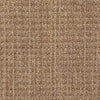 Copilot Residential Carpet