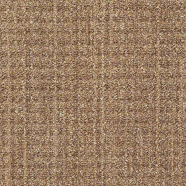 Copilot Residential Carpet
