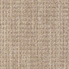 Copilot Residential Carpet