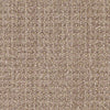 Copilot Residential Carpet