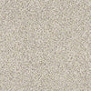 Coterie Residential Carpet