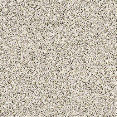 Coterie Residential Carpet