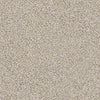 Coterie Residential Carpet