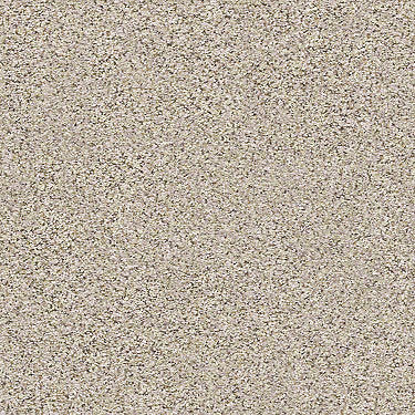 Coterie Residential Carpet