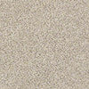Coterie Residential Carpet