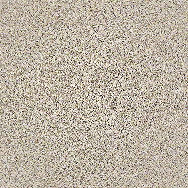 Coterie Residential Carpet