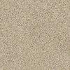 Coterie Residential Carpet
